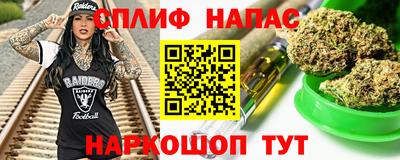 МДПВ Пугачёв