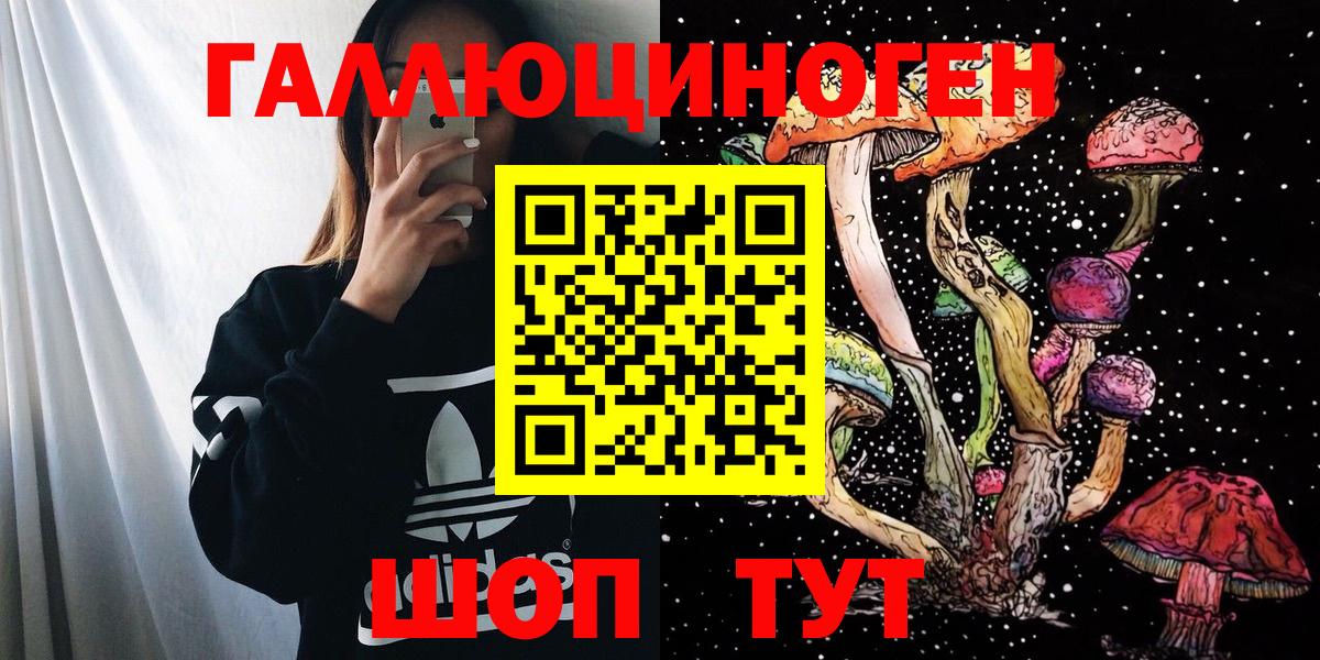 Галлюциногенные грибы GOLDEN TEACHER  Вход с VPN  Реутов  Псилоцибиновые грибы Psilocybe 