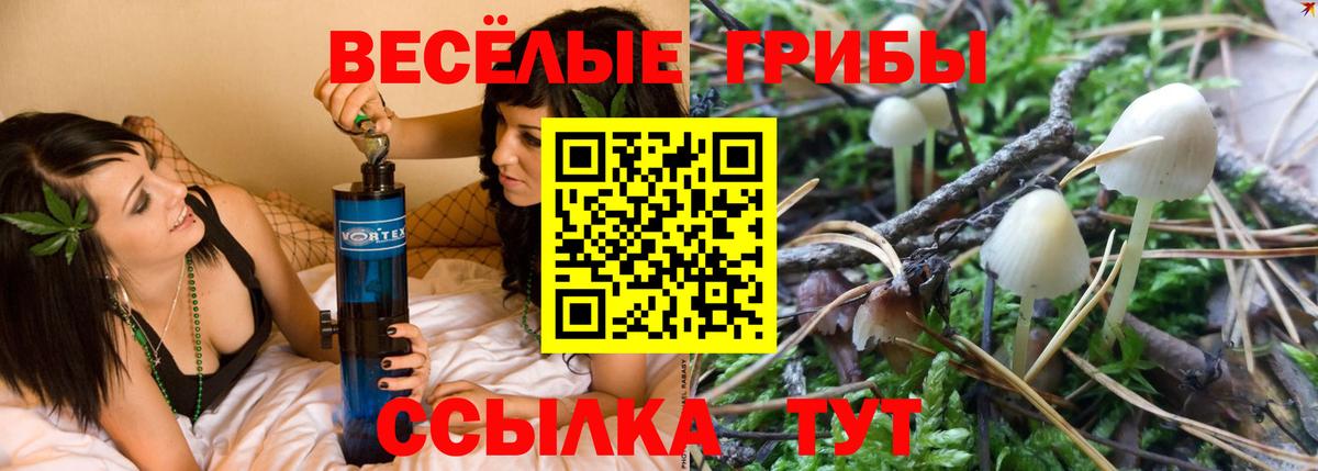 Псилоцибиновые грибы мицелий Реутов